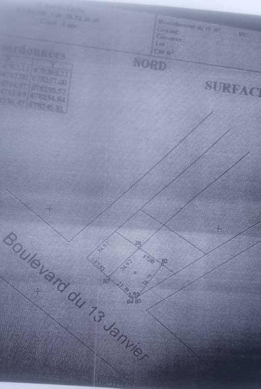 Terrain à vendre à Dékon – 400 Millions FCFA