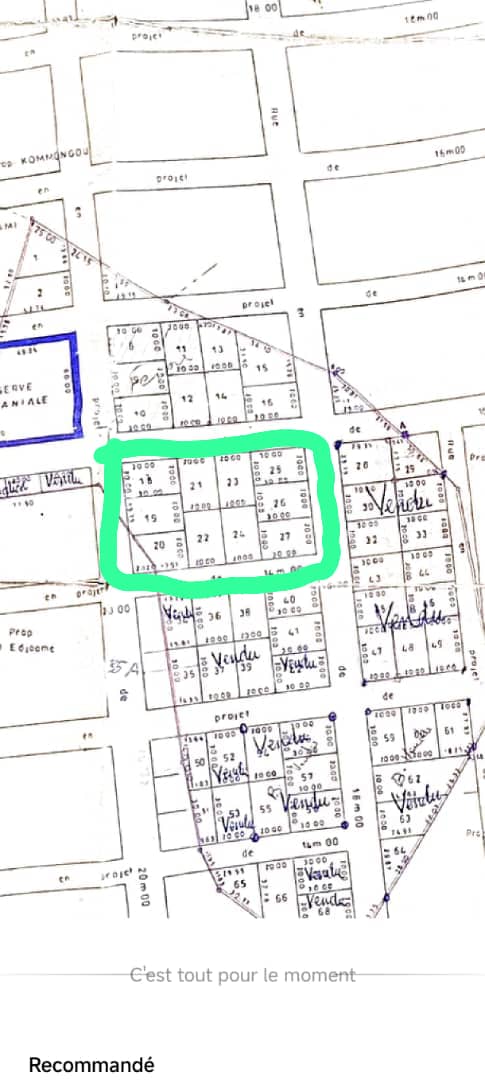 Terrain de 6000 m² en vente à Adétikopé – 15.5 millions FCFA le lot