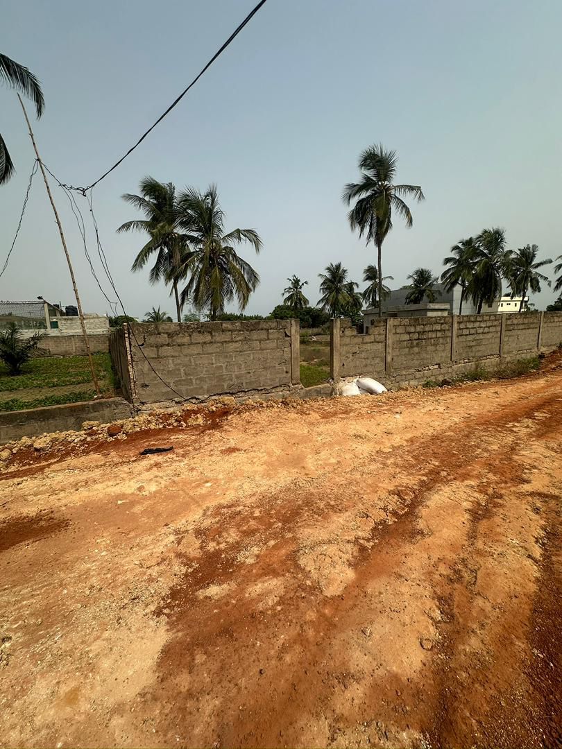 Terrain 1 lot en vente à Kpogan Agodeke plage – 25 millions FCFA