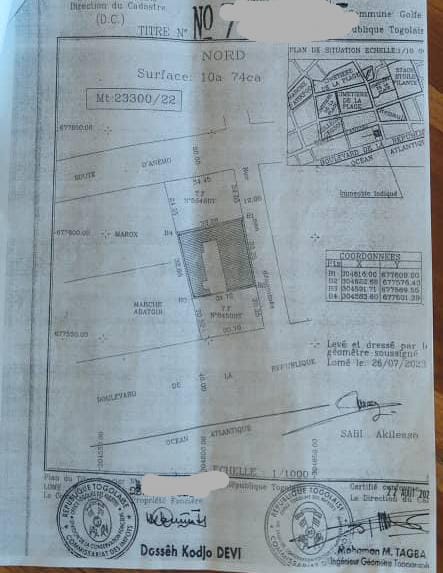 Terrain de 1074 m² en vente à Assigamé (Abattoir) – 800 millions FCFA