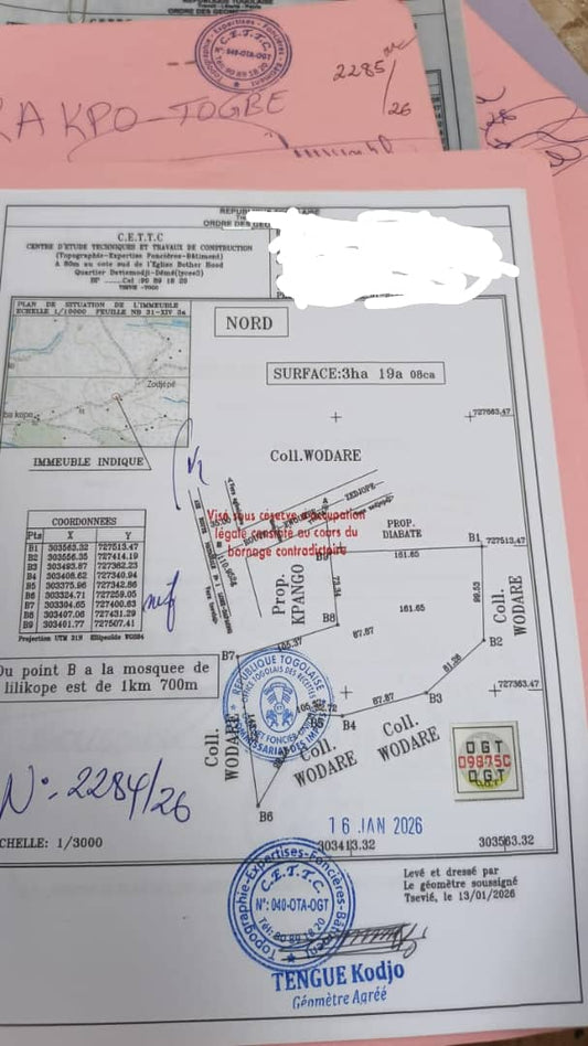 Terrain de 3 hectares en vente à Agbelouvé – 2,5 millions FCFA