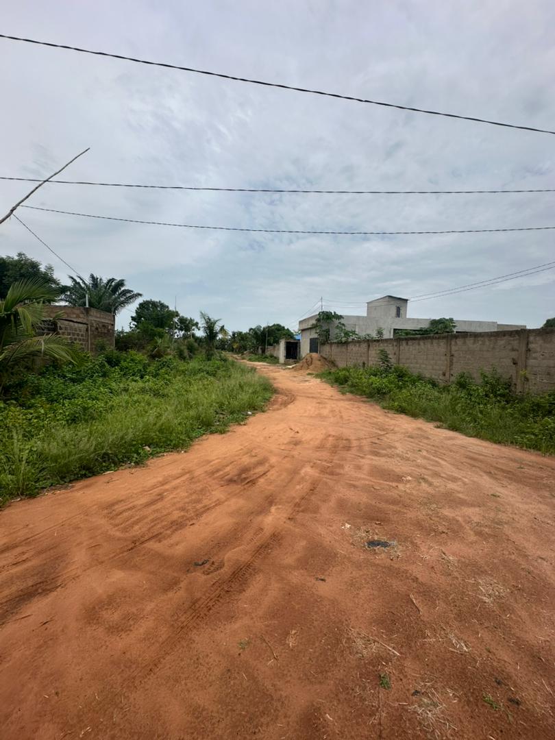 4 lots de terrain en vente à Zanguera-Aképé – 20 millions FCFA le lot