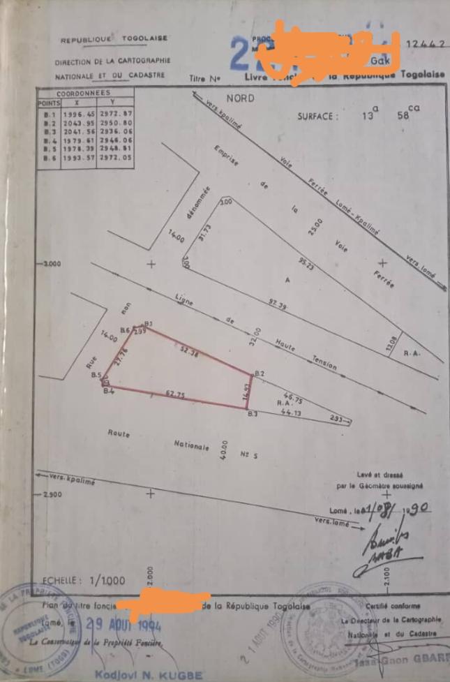Terrain de 1358 m² en vente en bordure de goudron à Avenou – 100 millions FCFA