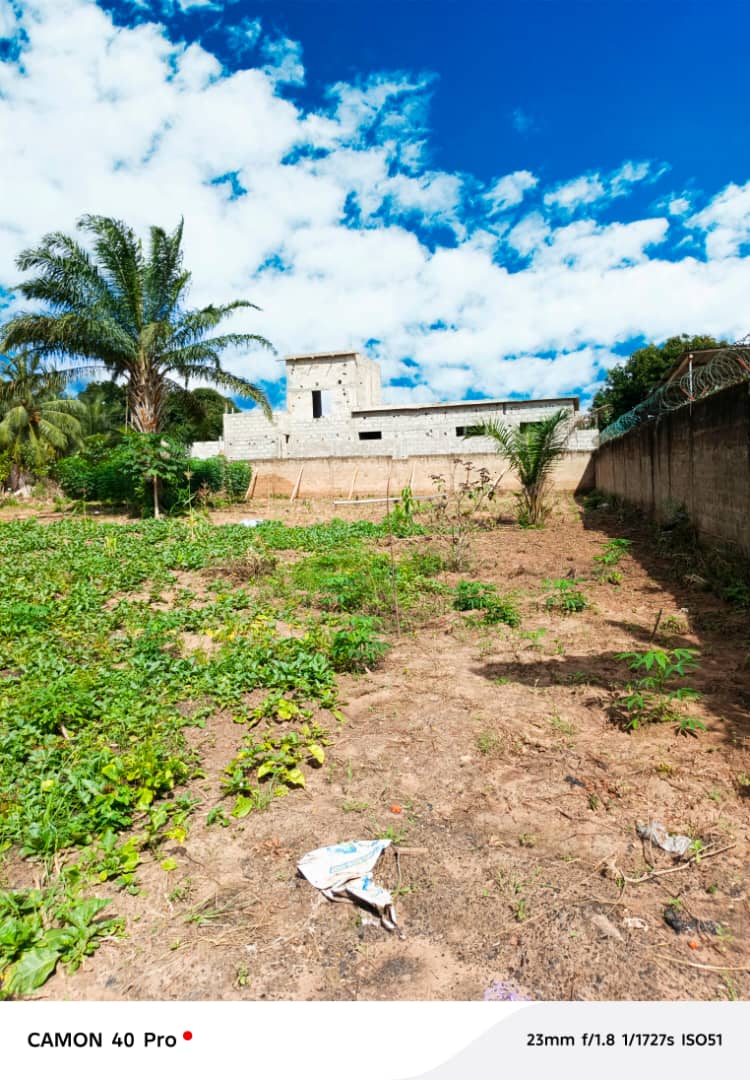 Terrain de 796 m² en vente à Zanguera – 25 millions FCFA