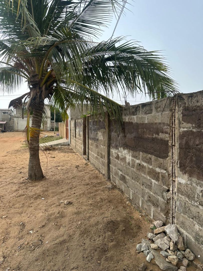 Terrain de 1500 m² en vente à Baguida – 50 millions FCFA le lot