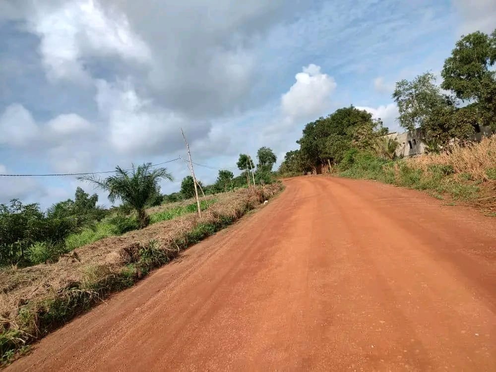 Terrain de 25 hectares en vente à Badja Agoudja – 8 500 000 FCFA l'hectare