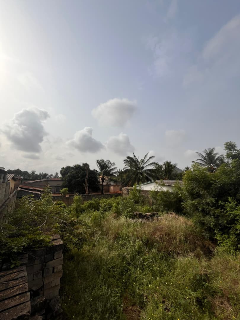 Terrain 1/4 de lot en vente à Avedji – 12 millions FCFA