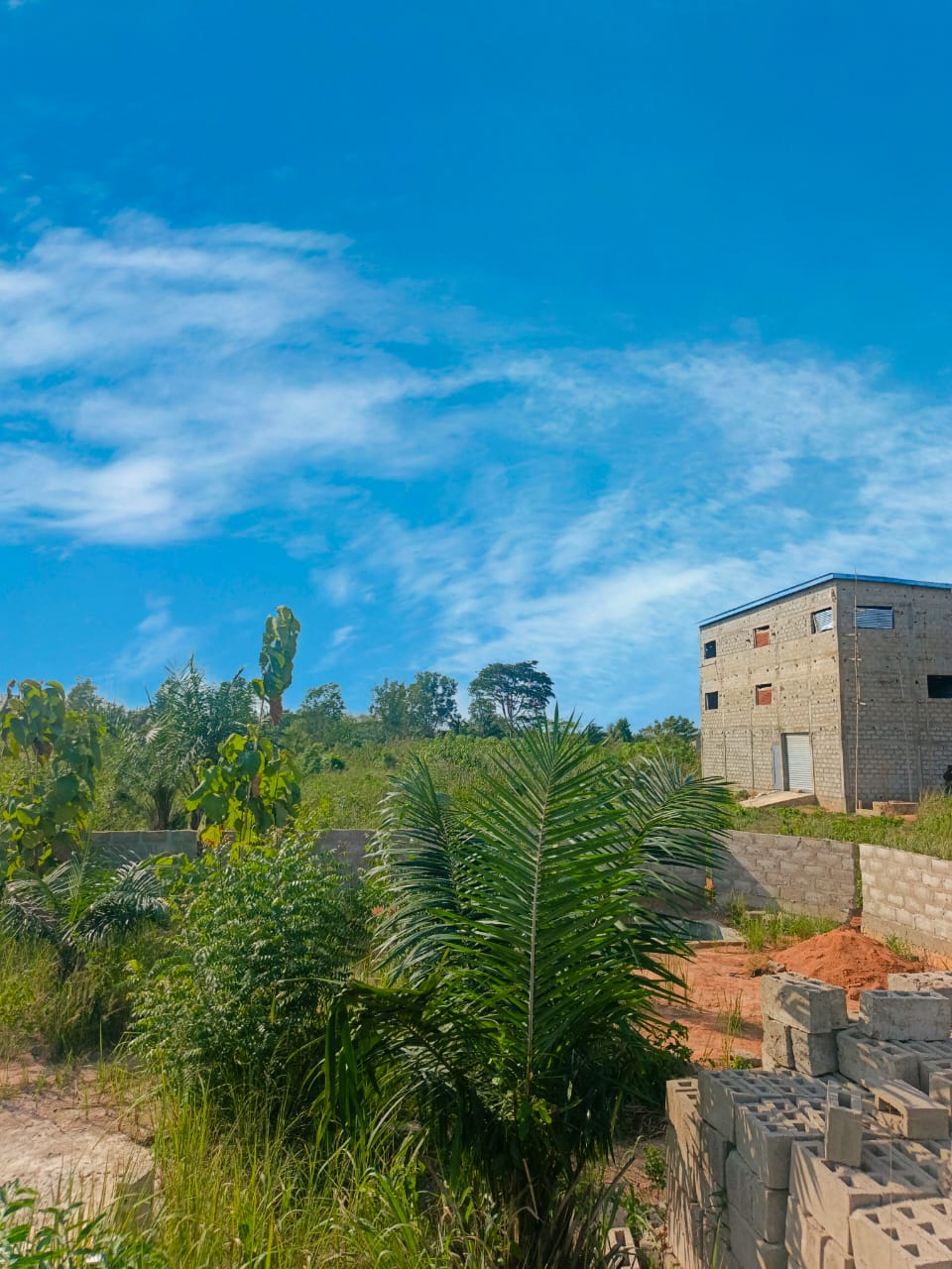 Terrain de plus de 5 lots en vente à Kpala-Djigbé – 12 millions FCFA le lot