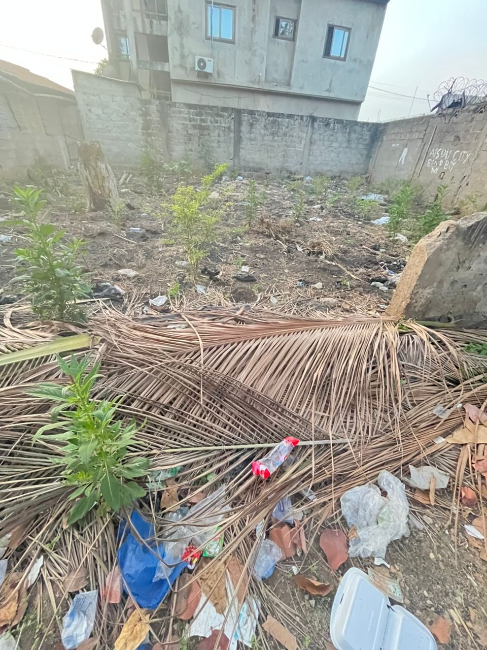 Terrain d'un quart de lot carré en vente à Totsi – 15 millions FCFA