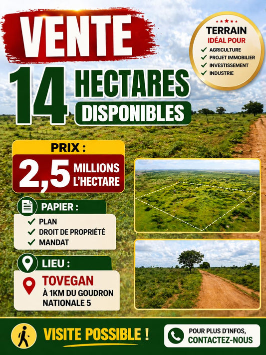 Terrain de 8400 m² en vente à Tovégan – 2,5 millions FCFA par hectare