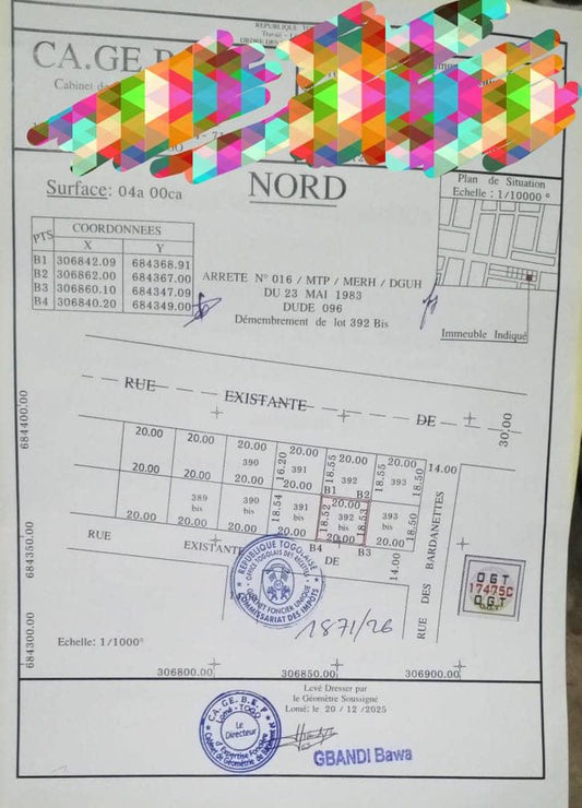 Terrain de 400 m² en vente à Togo 2000 – 55 millions FCFA