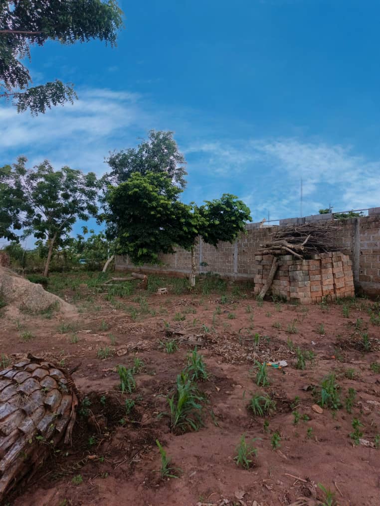 Terrain de 600 m² en vente à Aképé – 10 millions FCFA