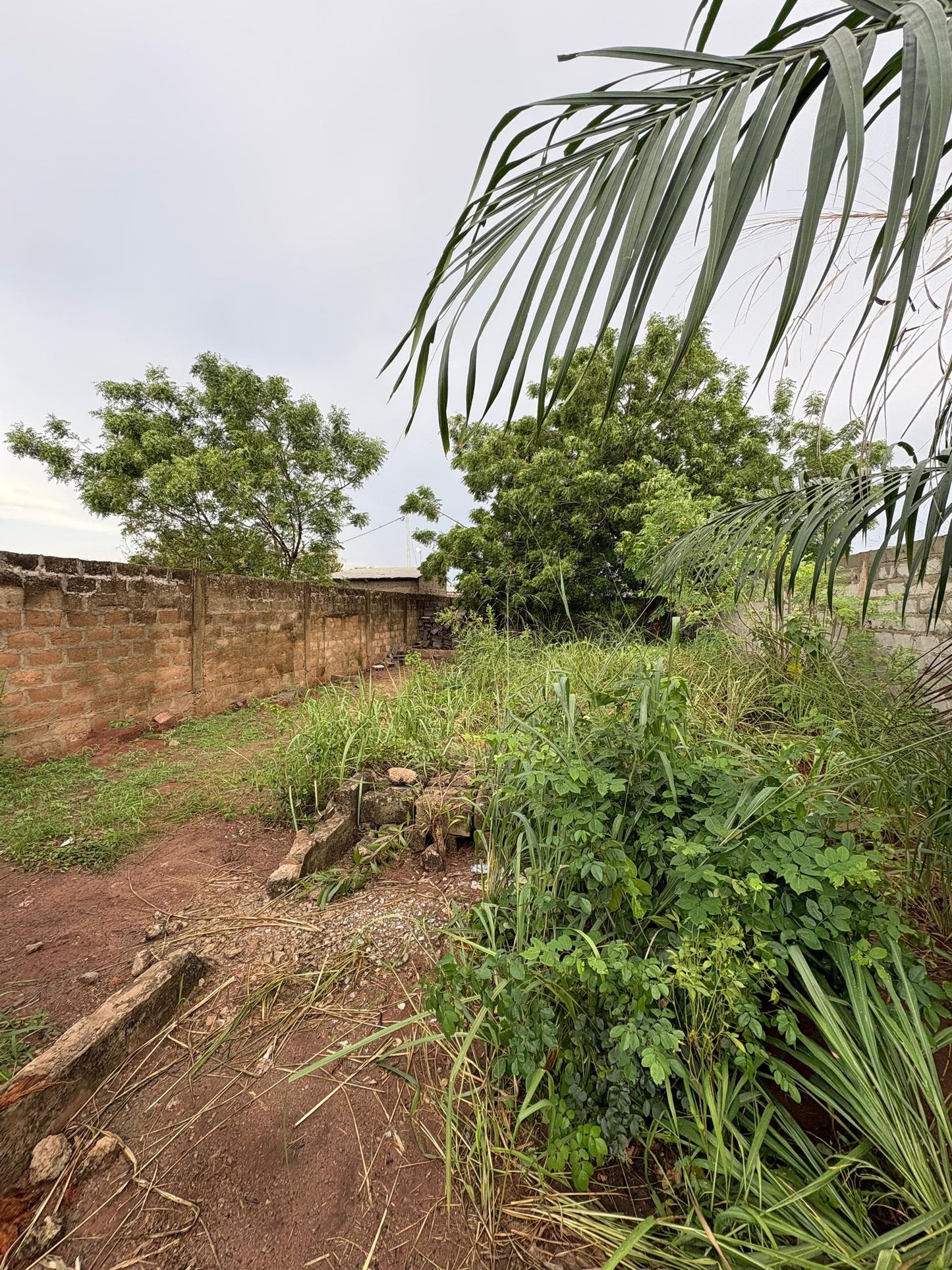 Terrain d'un demi-lot clôturé en vente à Zanguera IPG – 14 millions FCFA