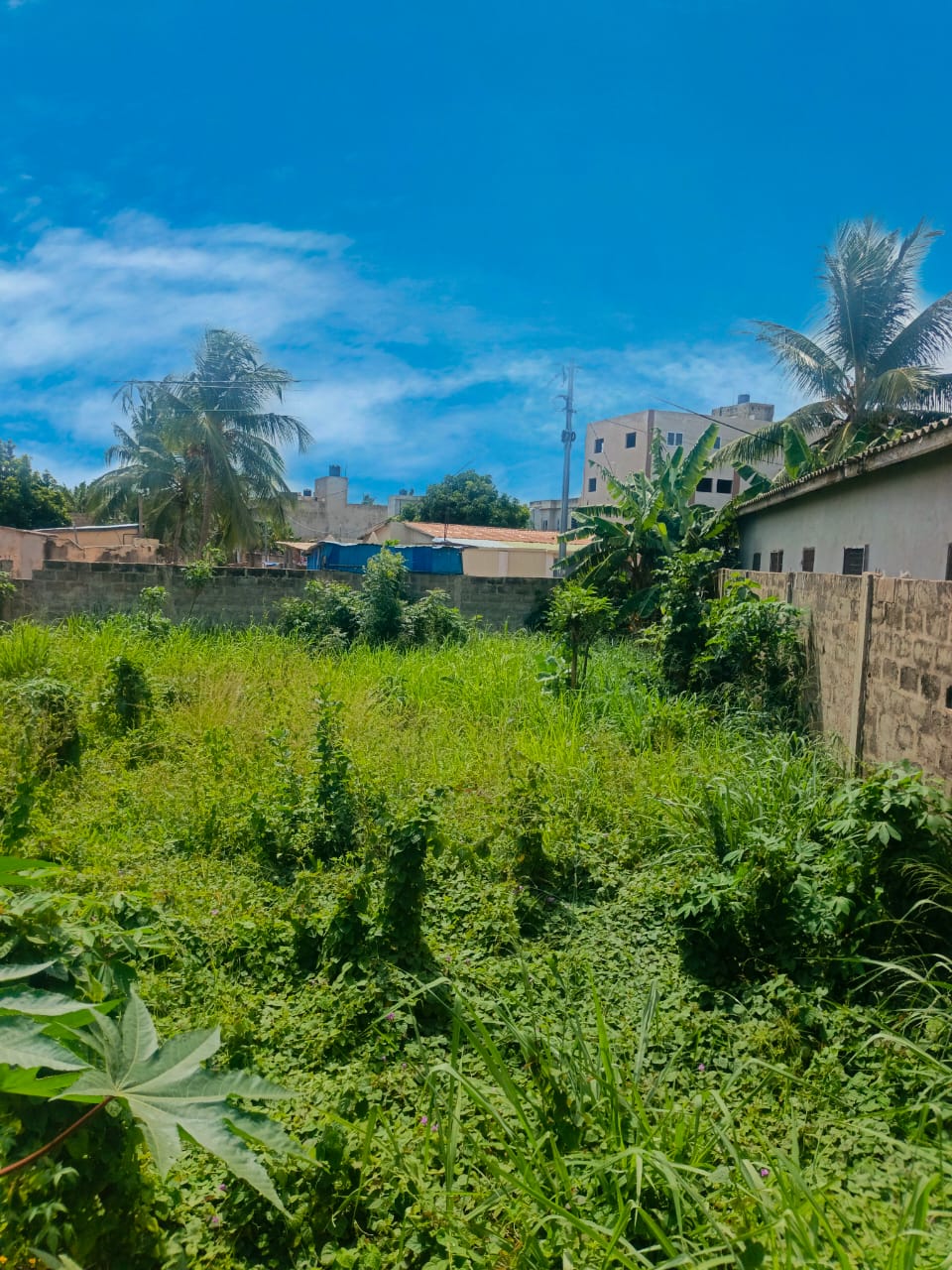 Terrain (1/2 lot) en vente à Zanguera – 23 millions FCFA