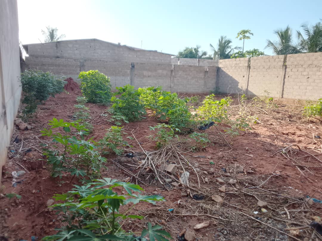 Terrain en vente à Djagblé Mokpla ville – 10.500.000 FCFA