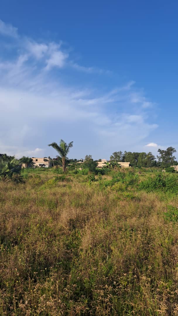 Terrain de 20 lots en vente à Adétikopé Kpotavé – 13 millions FCFA