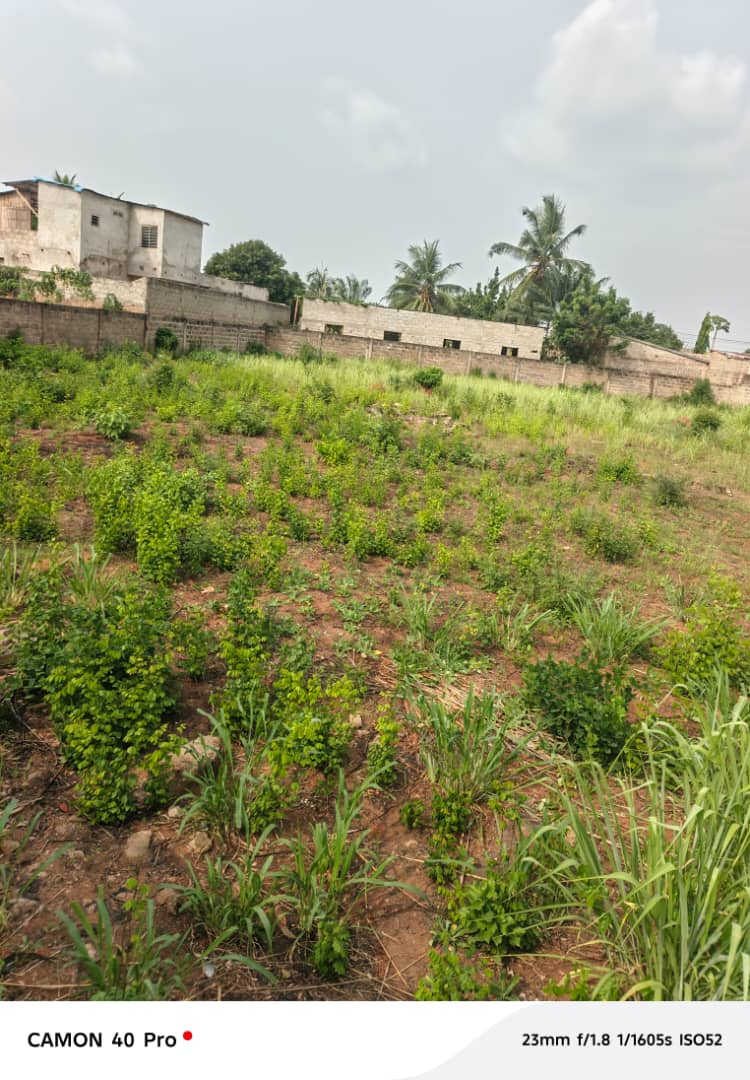 Terrain à vendre à Adidogomé – 55 Millions FCFA