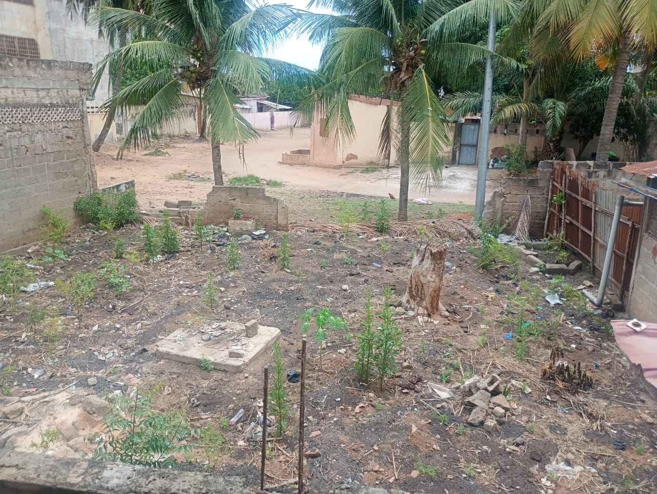 Terrain d'un quart de lot carré en vente à Totsi – 15 millions FCFA
