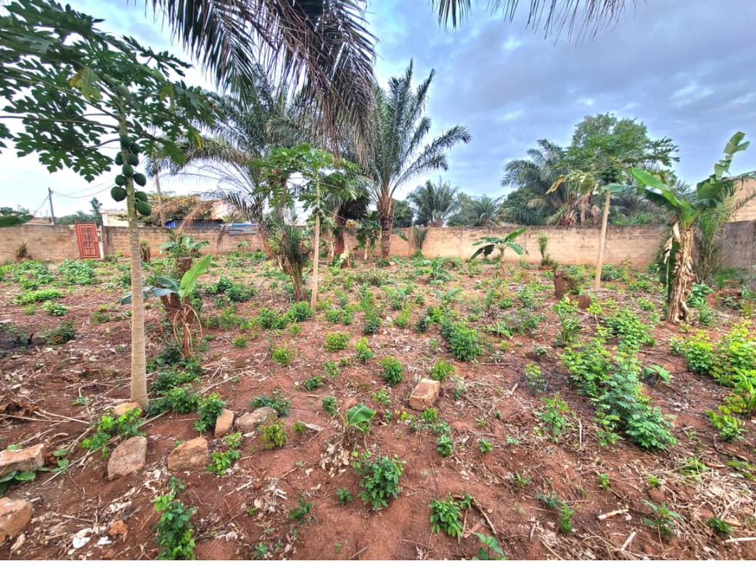 Terrain 1 lot en vente à Agoè Sogbossito – 32 millions FCFA