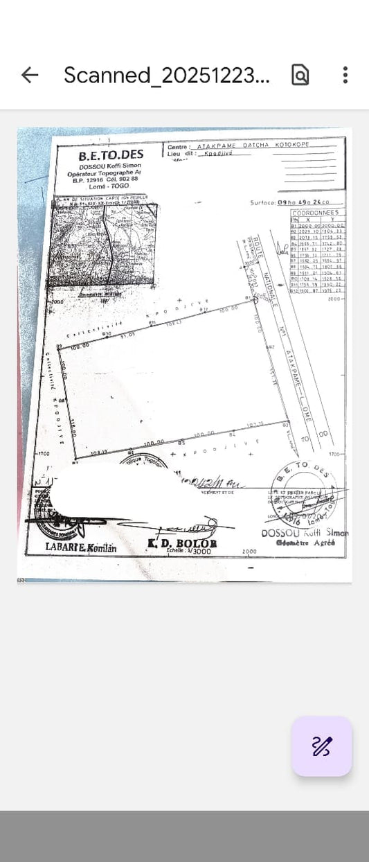 Terrain de 9 hectares en vente en bord du goudron à Datcha Koto Kopé – 5,5 millions FCFA l'hectare