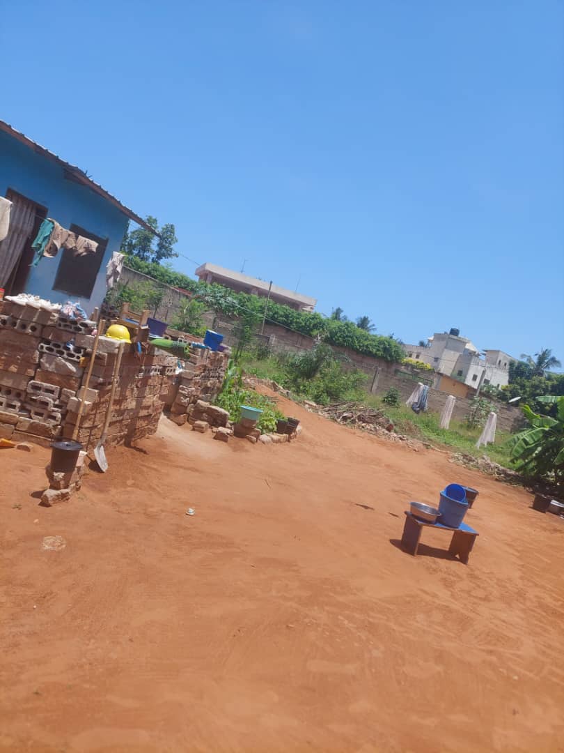 Terrain de 2 lots clôturé en vente à Avenou à 100m du goudron – 55 millions FCFA le lot