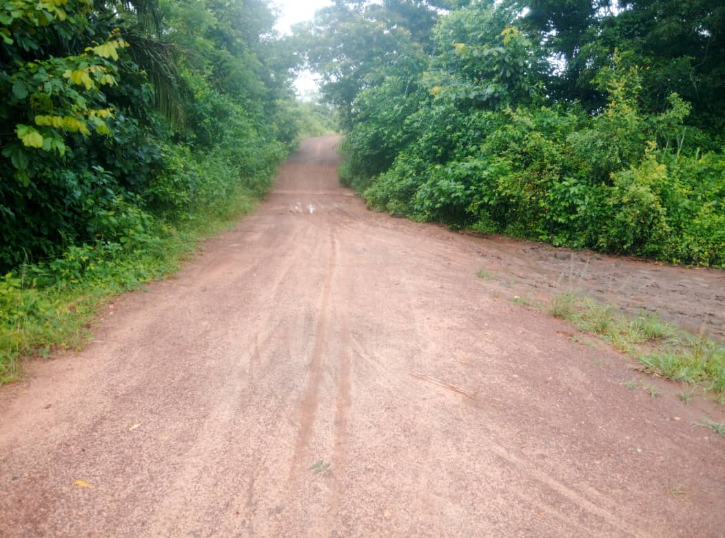 Terrain de 30 hectares en vente à Kpevego – 5 millions FCFA l'hectare