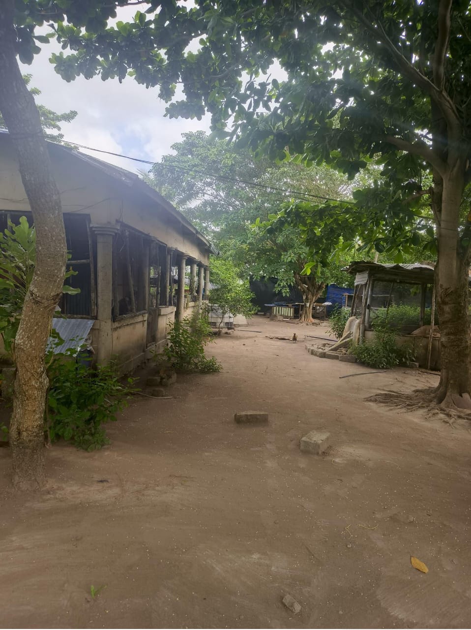 Terrain de 33 hectares 43 ares 88 centiares en vente à Agbelouve Tchito – 3,5 millions FCFA l'unité