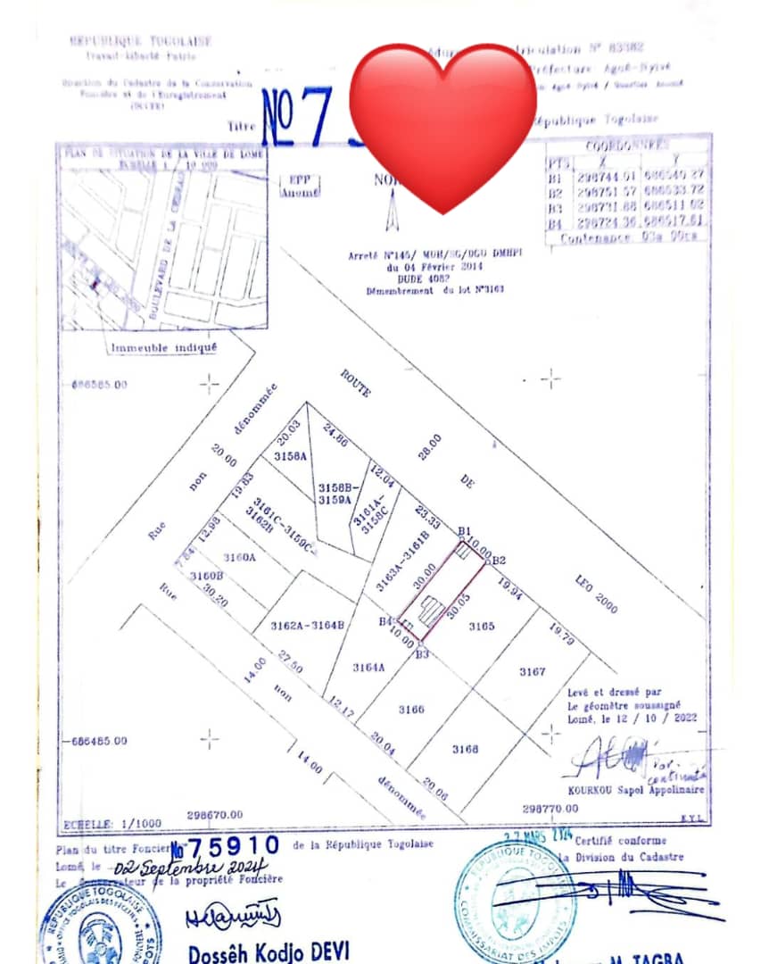 Terrain 1/2 lot (300 m²) en vente au bord du goudron de Léo2000 avant Volonté – 65 millions FCFA