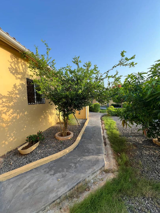 Maison à vendre à Segbé – 35000000 FCFA