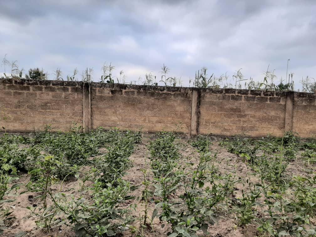 Terrain à vendre à Zanguera – 22 Millions FCFA