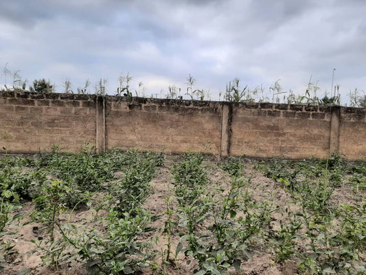 Terrain à vendre à Zanguera – 22 Millions FCFA