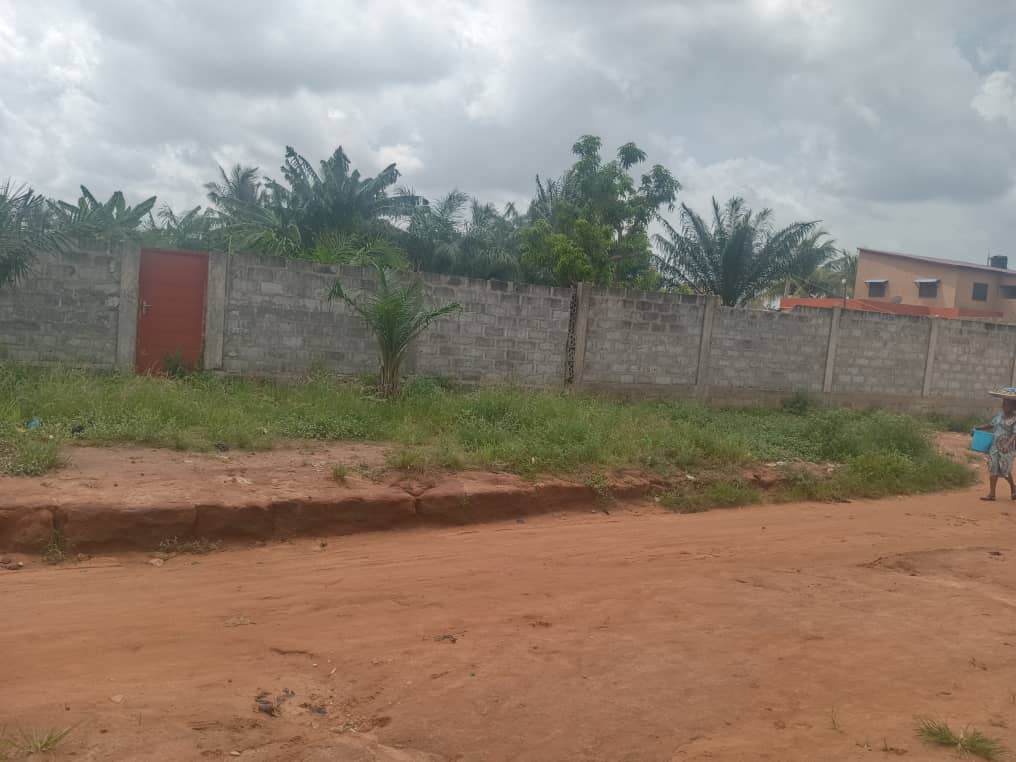 Terrain à vendre à Ségbé – 70 Millions FCFA