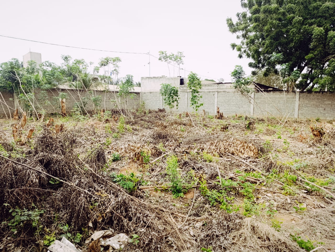 Terrain de 798 m² en vente en angle de rue à Zossimé Zopomahe - 30 millions FCFA