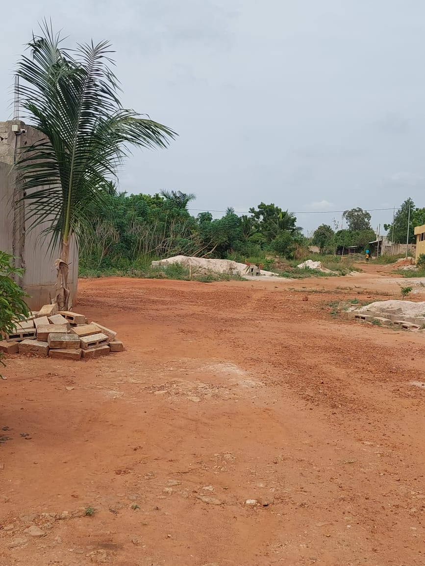 Terrain 1 lot en vente à Apessito – 12 millions FCFA