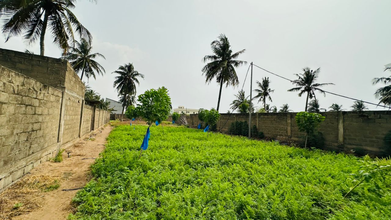 Terrain à vendre à Kpogan – 30 Millions FCFA