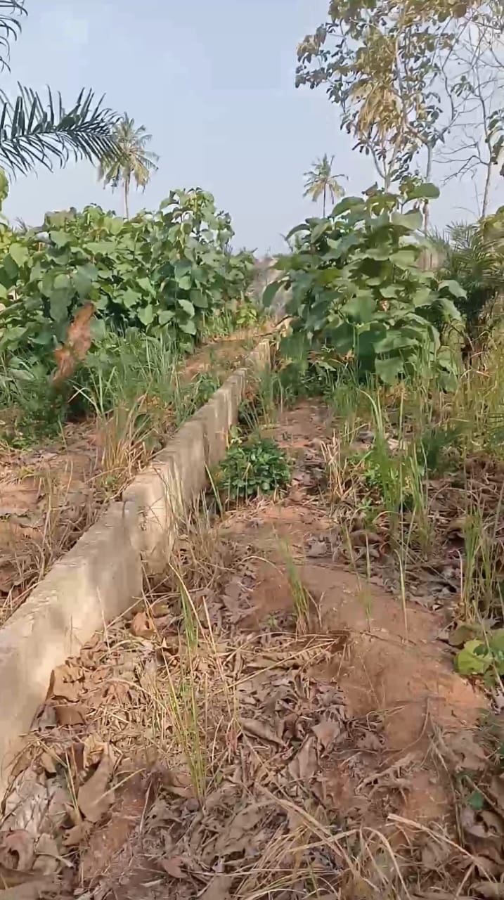 Terrain de 6,5 lots en vente à Kpala Djigbé – 12 millions FCFA le lot