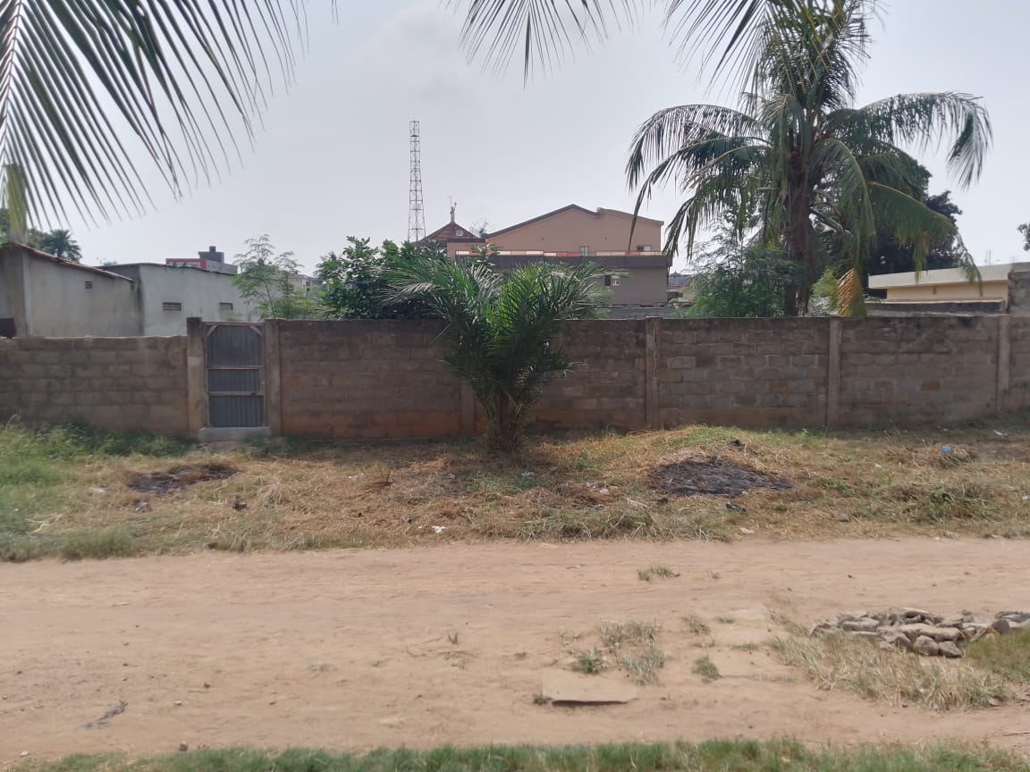 Terrain à vendre à Totsi – 50 Millions FCFA