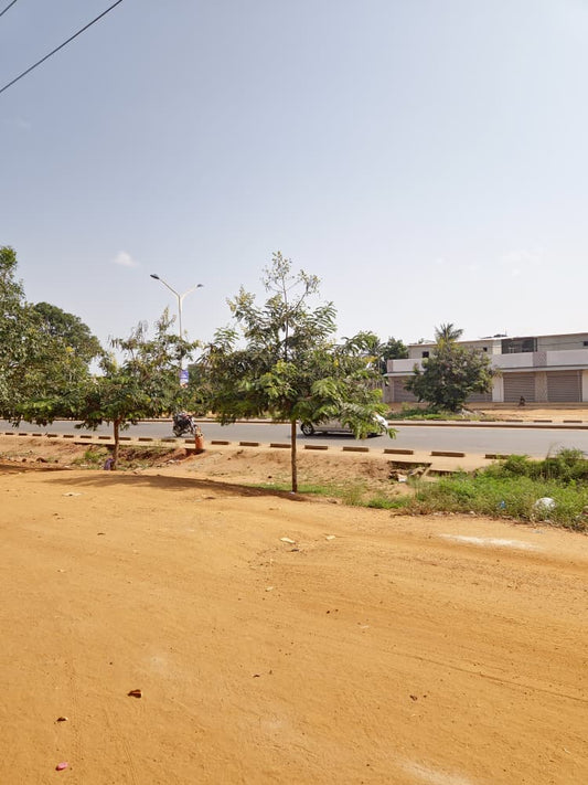 Terrain de 600 m² avec construction en vente à Sogbossito Somayaf – 38 millions FCFA