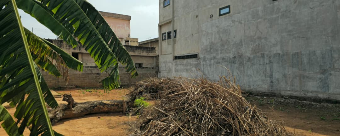 Terrain de 600 m² en vente à Forever – 90 millions FCFA