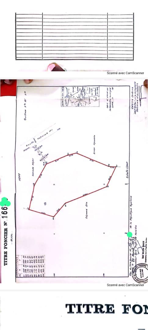 Terrain de 6000 m² en vente à Adétikopé – 15.5 millions FCFA le lot