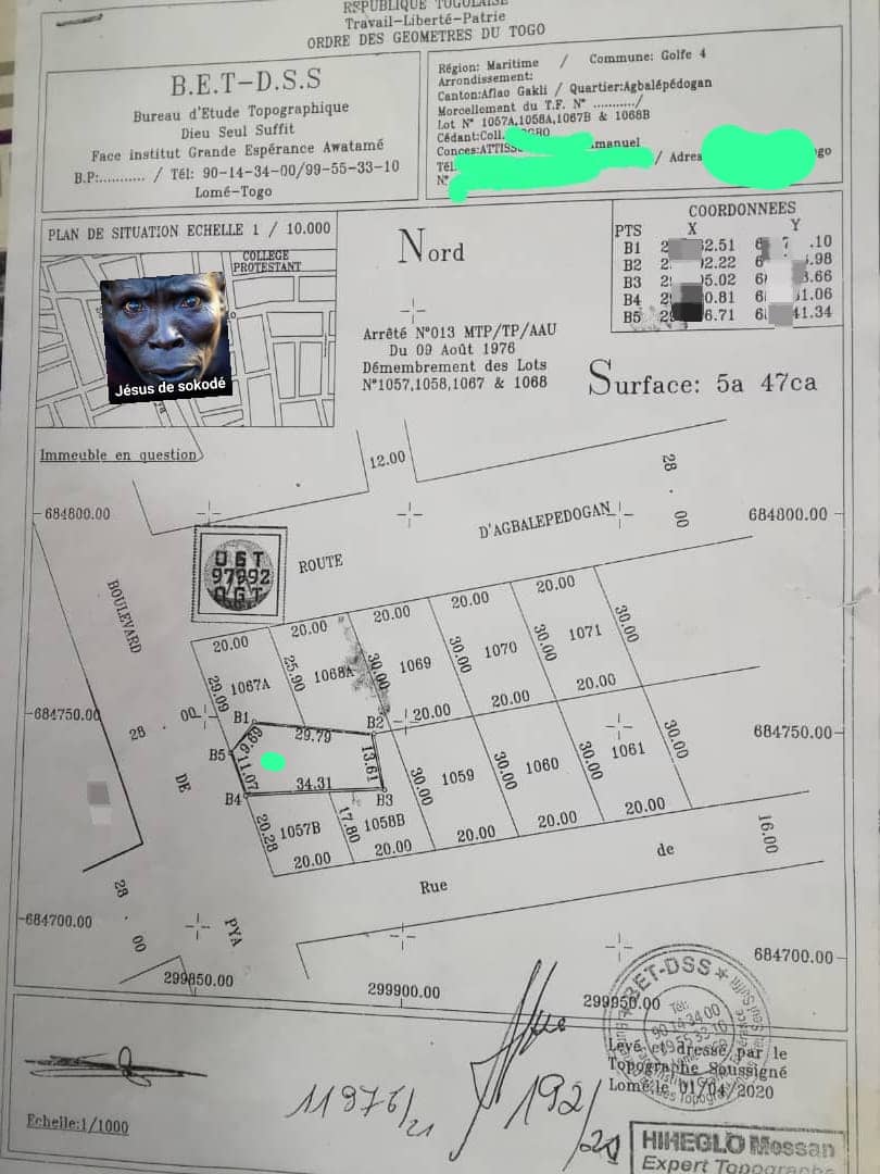 Terrain 1 lot en vente à Totsi – 65 millions FCFA