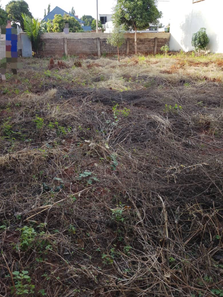 Terrain à vendre à Agoë – 25 Millions FCFA