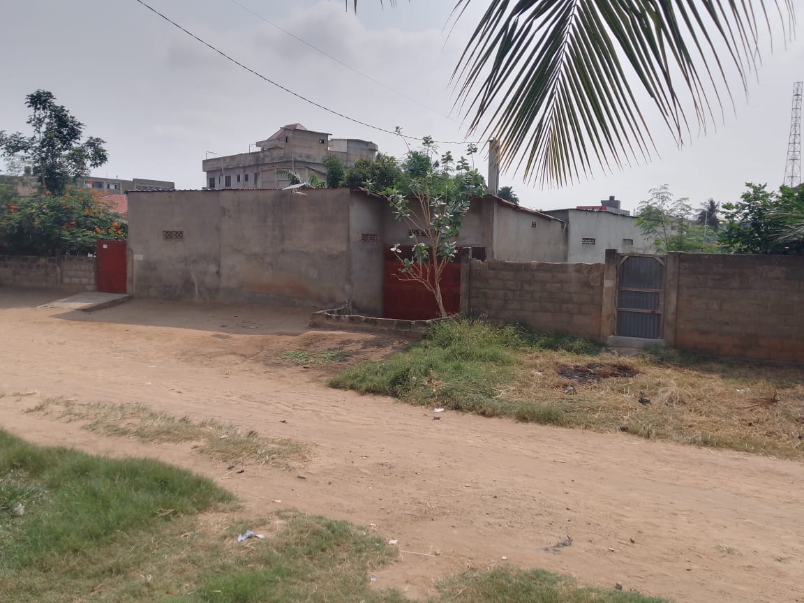 Terrain à vendre à Totsi – 50 Millions FCFA