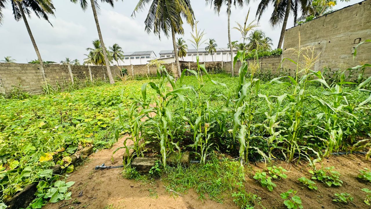 Terrain à vendre à Kpogan – 30 Millions FCFA