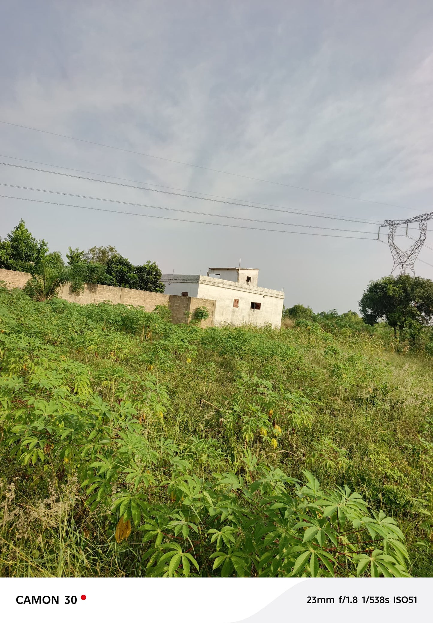 Terrain à vendre à Davié – 3500000 FCFA