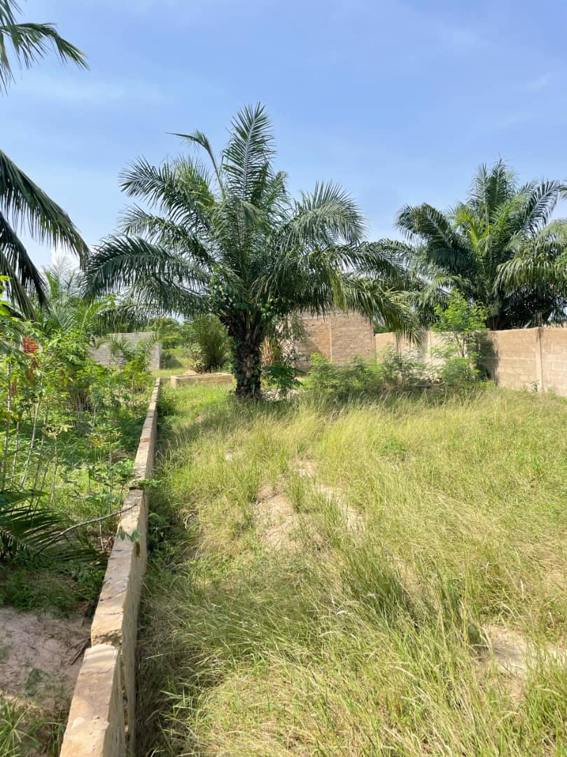 Terrain 1/2 lot en vente à Zanguéra Atidjin Jerusalem – 7.5 millions FCFA