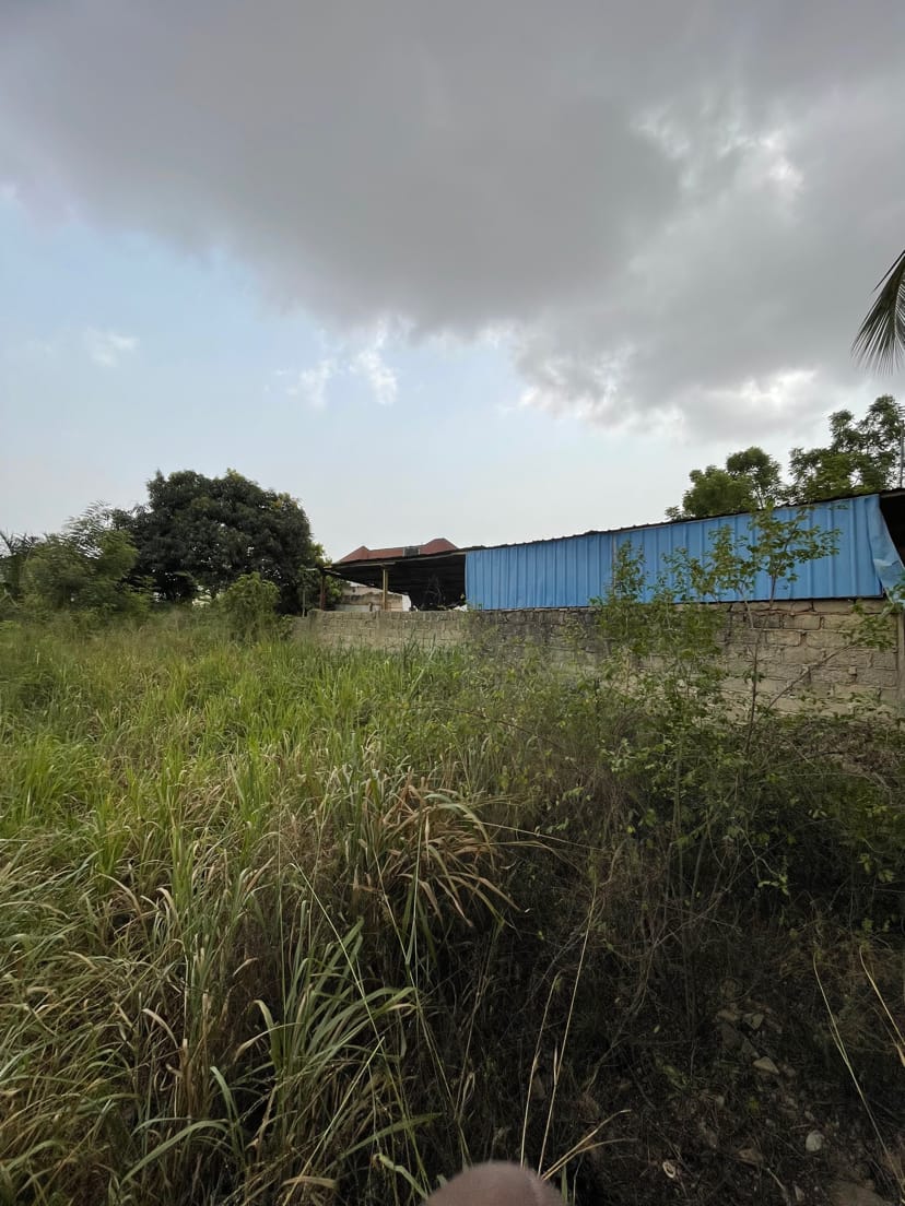 Terrain à vendre à Amadahomé – 30 Millions FCFA