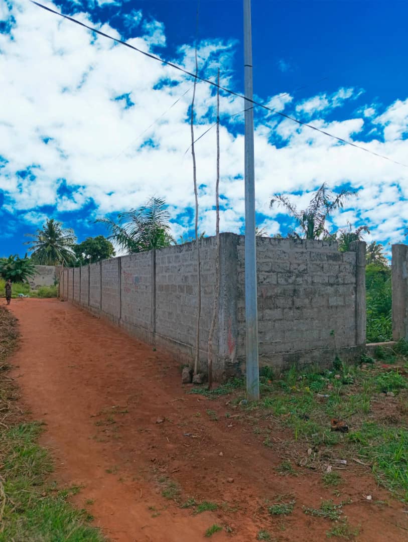 Terrain de 544 m² en vente en angle de rue à Zanguéra-Woungomé – 16 millions FCFA