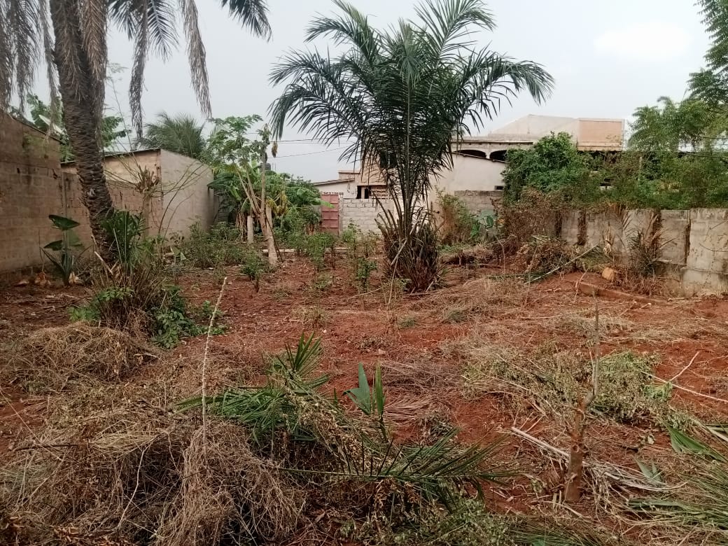 Terrain de 300 m² en vente à Agoè Sogbossito – 16 millions FCFA