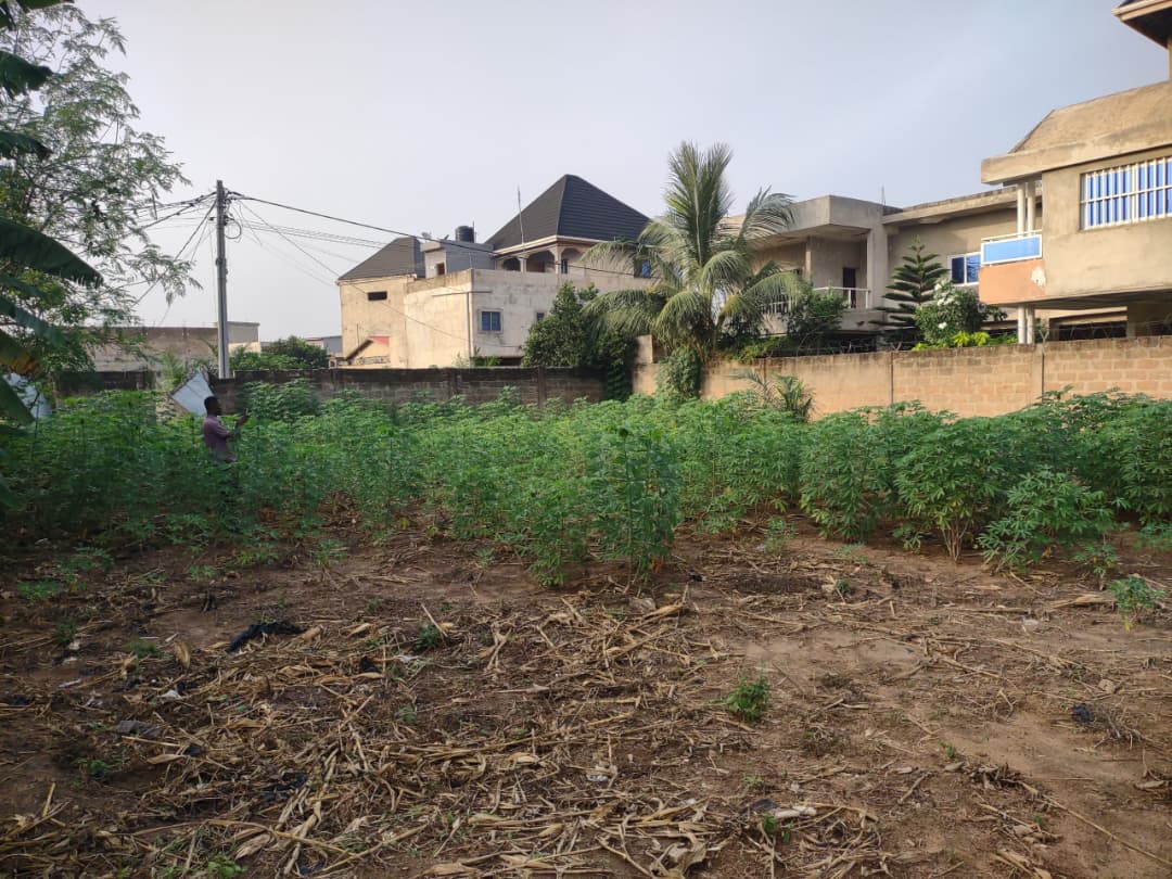 Terrain à vendre à Agoè – 20 000 000 FCFA